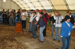 2004