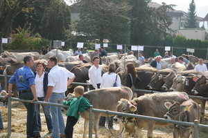 2007
