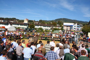 Stierenmarkt Nachmittag